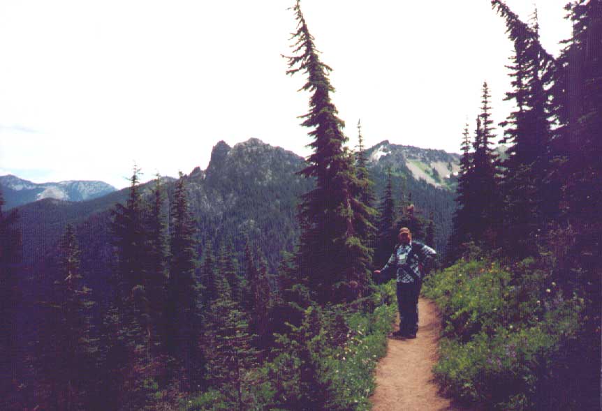 Kelly On a Trail To Plant Glory
